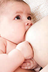 Image showing Baby breastfeeding