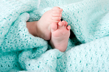 Image showing Baby feet in blanket