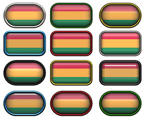 Image showing twelve buttons of the Flag of Bolivia