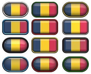 Image showing twelve buttons of the Flag of Chad