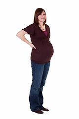 Image showing Pregnancy Back Pain