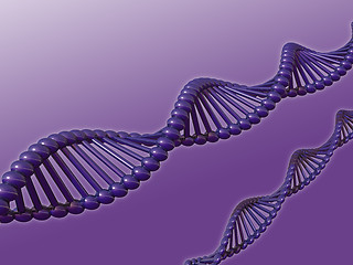 Image showing dna