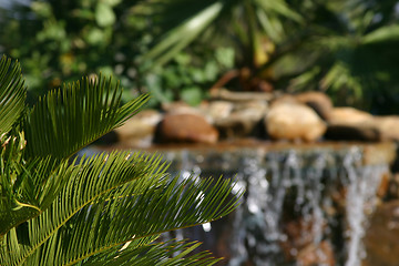 Image showing Tropical Scene