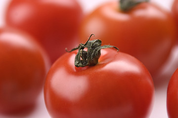 Image showing Red tomatoes