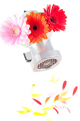 Image showing Conceptual photo with flowers