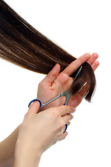 Image showing Cutting the hair