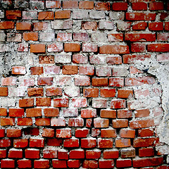 Image showing Brick wall