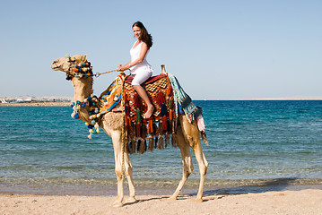 Image showing woman on camel