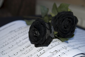 Image showing Black rose on sheet music