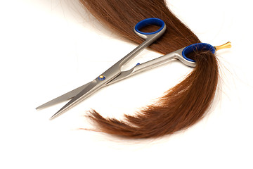 Image showing Hair lock in scissors ring