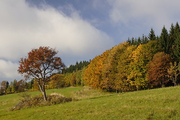 Image showing autumn time