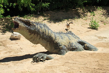 Image showing dinosaur