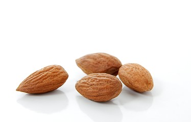 Image showing Almond