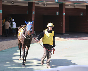 Image showing A day at the races