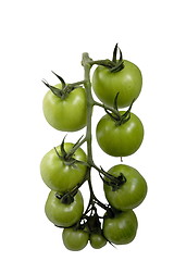 Image showing Tomatoes 