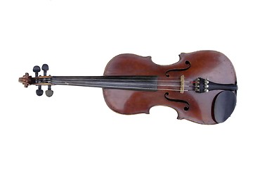 Image showing  Violin