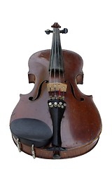 Image showing  Violin