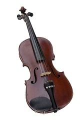 Image showing  Violin