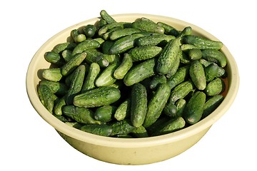 Image showing green gherkins