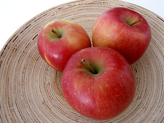 Image showing apples