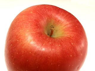 Image showing apple