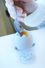 Image showing Boiled eggs