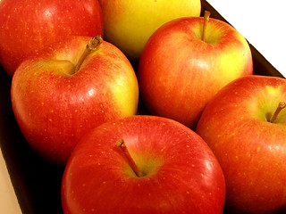 Image showing apples