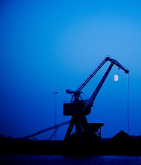 Image showing Crane in moonlight