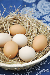 Image showing Fresh farm eggs