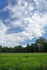 Image showing Landscape of a green field with trees