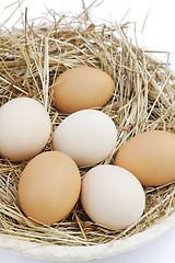 Image showing Fresh farm eggs