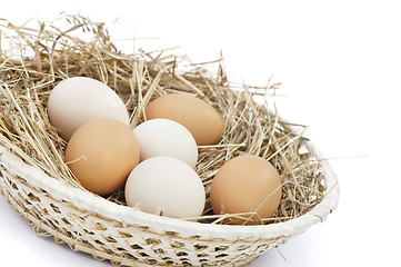 Image showing Fresh farm eggs