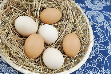 Image showing Fresh farm eggs