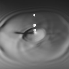 Image showing Milk Droplet