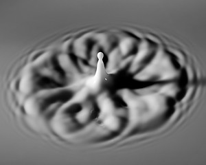 Image showing Milk Droplet