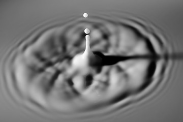 Image showing Milk Droplet