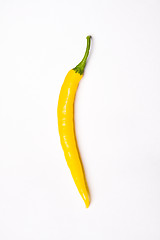 Image showing chili pepper