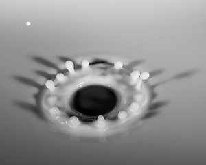 Image showing Milk Droplet