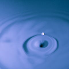 Image showing Milk Droplet