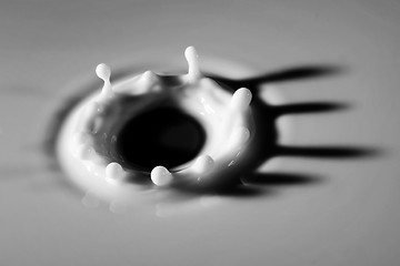 Image showing Milk Droplet