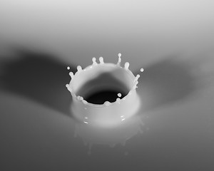 Image showing Milk Droplet