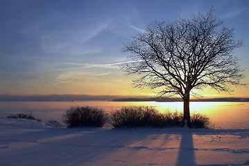 Image showing Winter Sunset