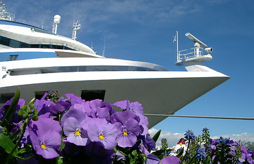 Image showing Ship and Pansy