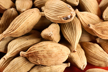 Image showing Cardamom background