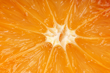 Image showing Orange macro