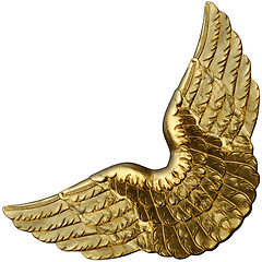 Image showing Golden Wings