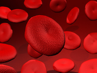 Image showing Red Blood Cells