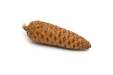 Image showing Mediterranean pine tree cone isolated on white background