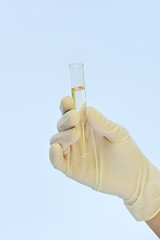 Image showing Hand holding test tube - isolated