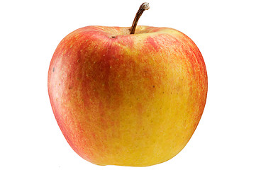 Image showing Multicoloured apple